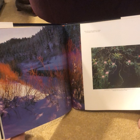 WILD & SCENIC CALIFORNIA THE NATURAL LANDSCAPE • PHOTOGRAPHY BY CARR CLIFTON - Picture 10 of 17